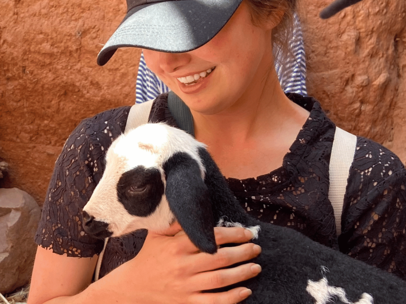 best family trip to morocco; A smiling young woman with a blue and pink headscarf holding a small goat in her arms, with a hint of desert landscape in the background