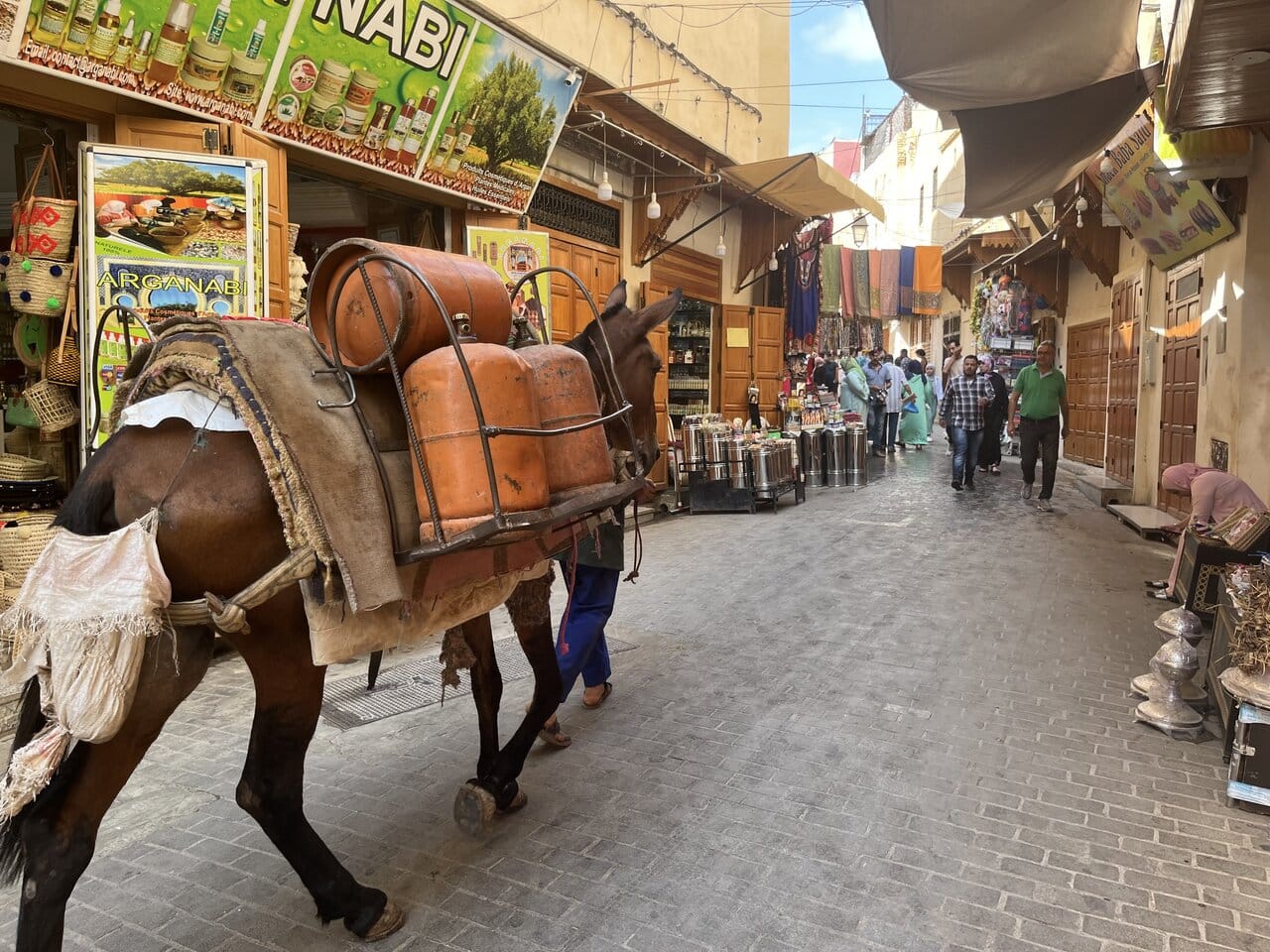 A mule carrying gas canisters through a bustling traditional market street in Morocco. Visit Morocco in January for an authentic souk experience.